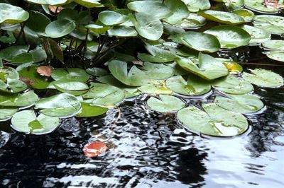 南方泵业全国首家品牌科技体验中心正式开业